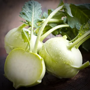 Bio koolrabi (paars)