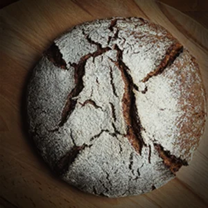 Bergrogge brood