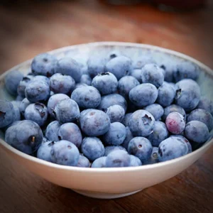 Bio blauwe bessen